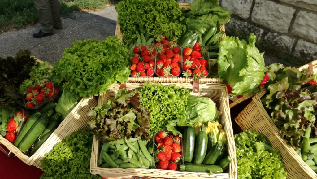 Nel podere La Cattedra di Roana solo frutta e verdura biologiche - Sapori News 