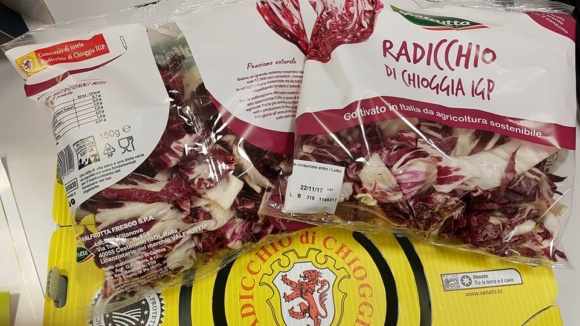 Radicchio di Chioggia Igp - quarta gamma - Sapori News 