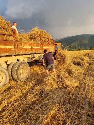 Ortucchio (AQ), è festa della trebbiatura – 27/28 luglio Fuoriporta