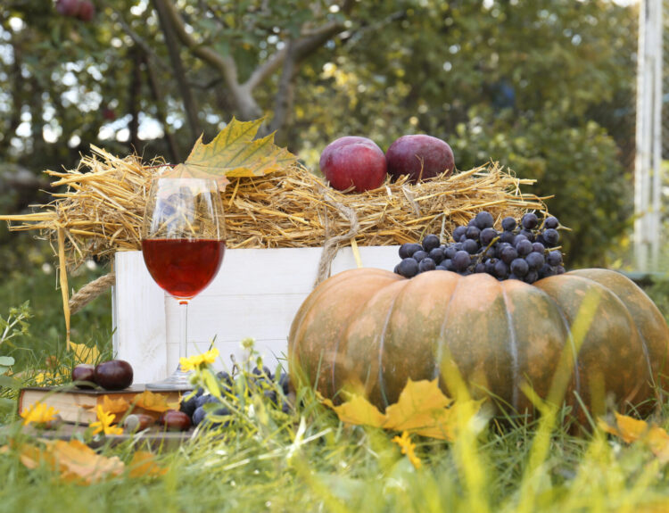 Brunch autunnale