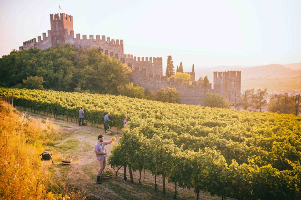 Appuntamento Soave: evento imperdibile col bianco di Verona - Sapori News 