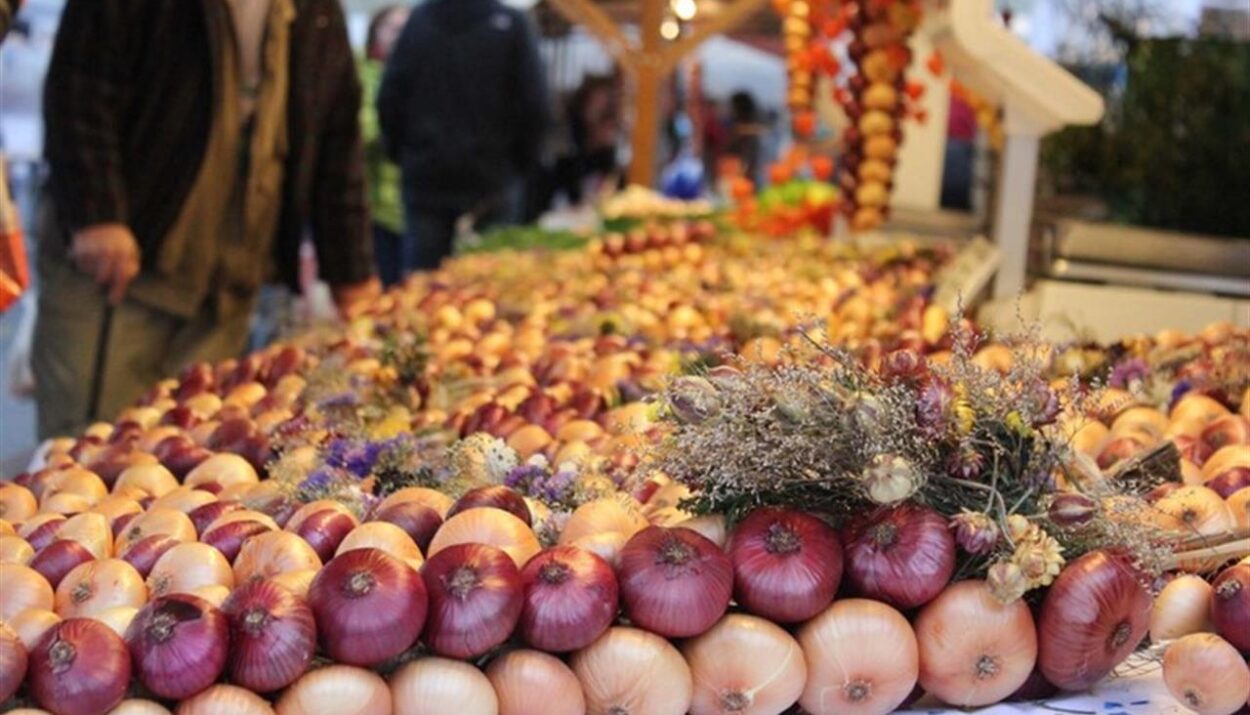 Mercato delle cipolle di Berna, tra colori, sapori e storia