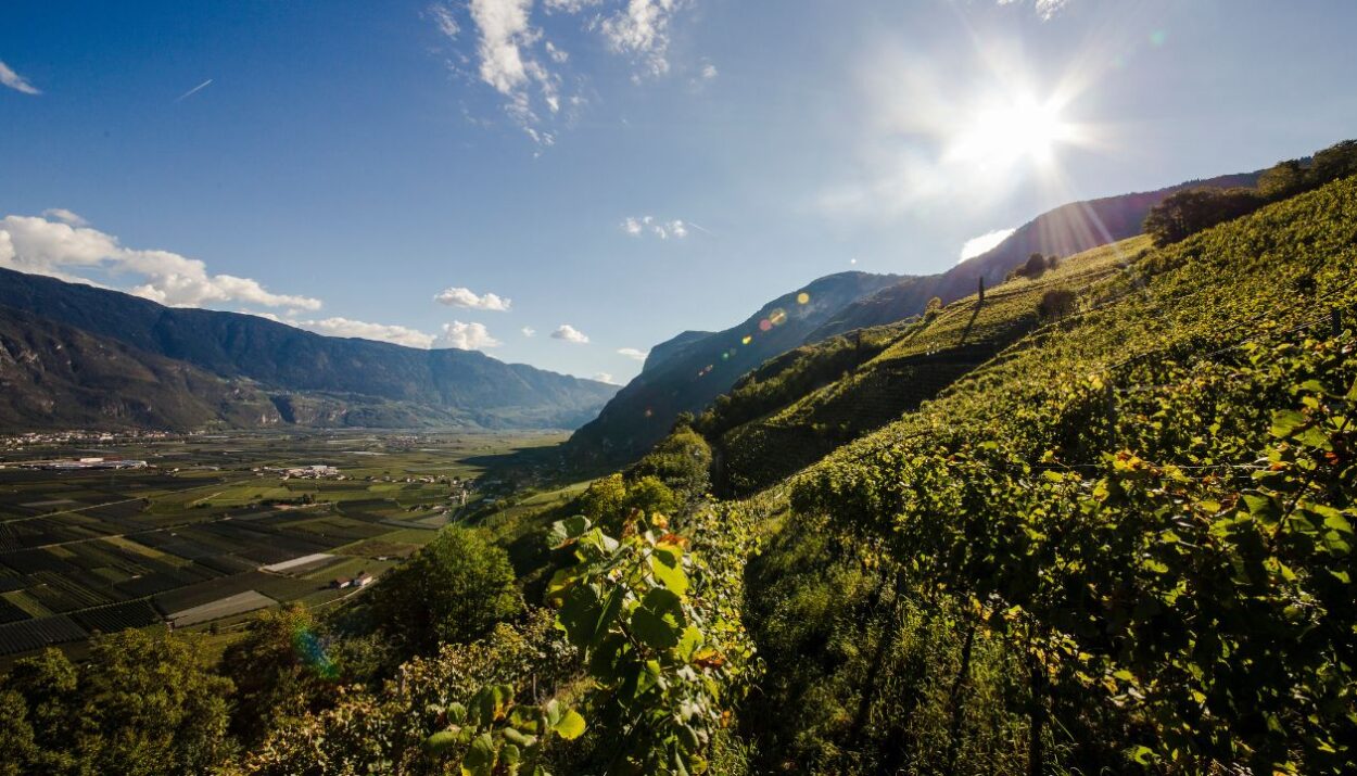 Il Ministero riconosce 86 particelle vitivinicole in Alto Adige, valorizzando il territorio e l’impegno di realtà come Cantina Kurtatsch.