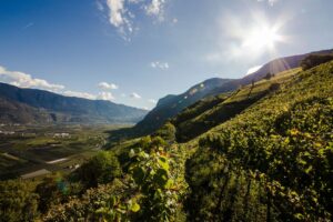 Il Ministero riconosce 86 particelle vitivinicole in Alto Adige, valorizzando il territorio e l’impegno di realtà come Cantina Kurtatsch.