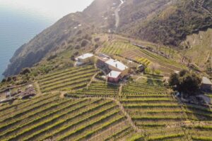 Stella di Lemmen, la realizzazione di un'azienda biodinamica nel Parco Naturale delle Cinque Terre