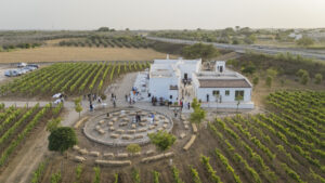 Menhir Salento diventa Menhir Marangelli: una nuova identità che unisce vino, enoturismo e tradizione nella Terra d’Otranto.