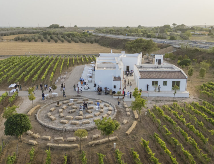 Menhir Salento diventa Menhir Marangelli: una nuova identità che unisce vino, enoturismo e tradizione nella Terra d’Otranto.