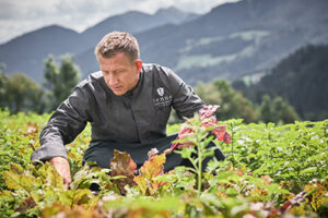 Scopri la cucina alpina innovativa di Mike Bräutigam al Tenne Lodges: ingredienti freschi, tradizione e creatività per un’esperienza unica